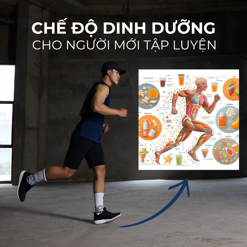 Chế Độ Dinh Dưỡng Cho Người Mới Tập Luyện