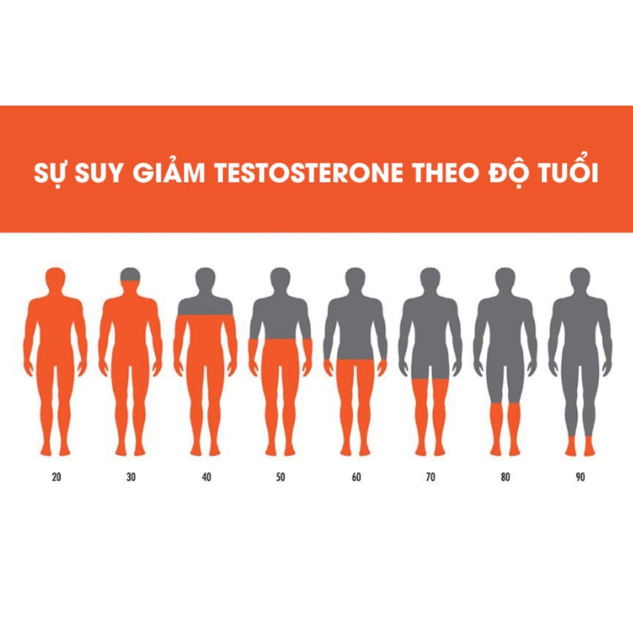 Duy trì sức khỏe sinh lý nam theo từng giai đoạn tuổi tác như thế nào?