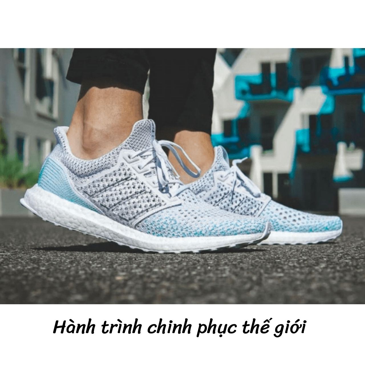 Lịch sử giày thể thao: Hành trình chinh phục thế giới từ sân vận động đến đường phố?