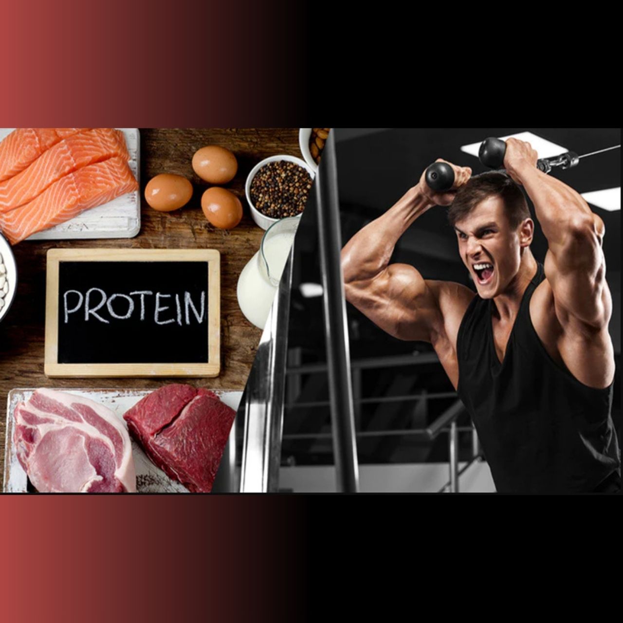 Protein có vai trò gì trong việc xây dựng và duy trì cơ bắp khỏe mạnh?